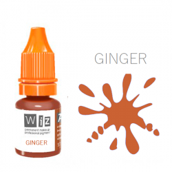Пігмент для татуажа  WizArt inorganic Ginger 5 мл