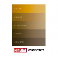 The Mineral Concentrate Пигмент для перманентного макияжа #28 Blonde, 11 мл